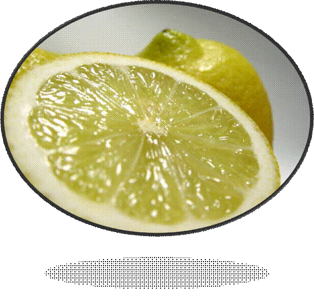 lemon102.jpg